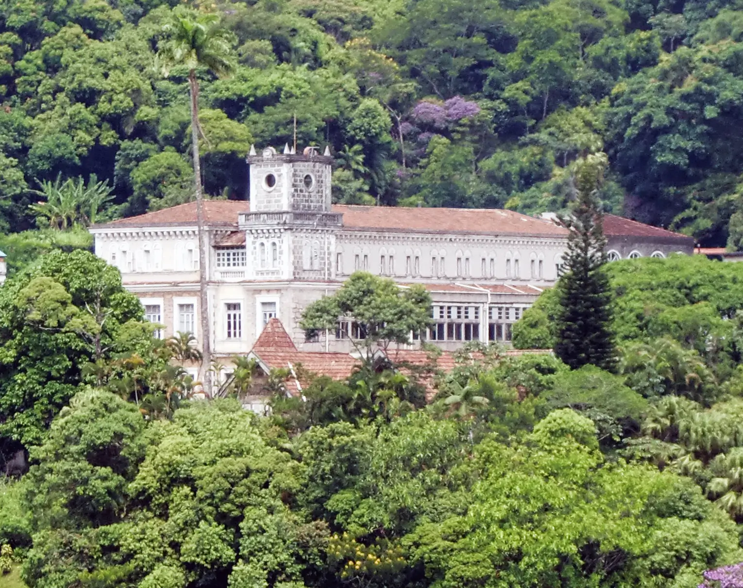 O Castelo seen across the valley in Tijuca National Park