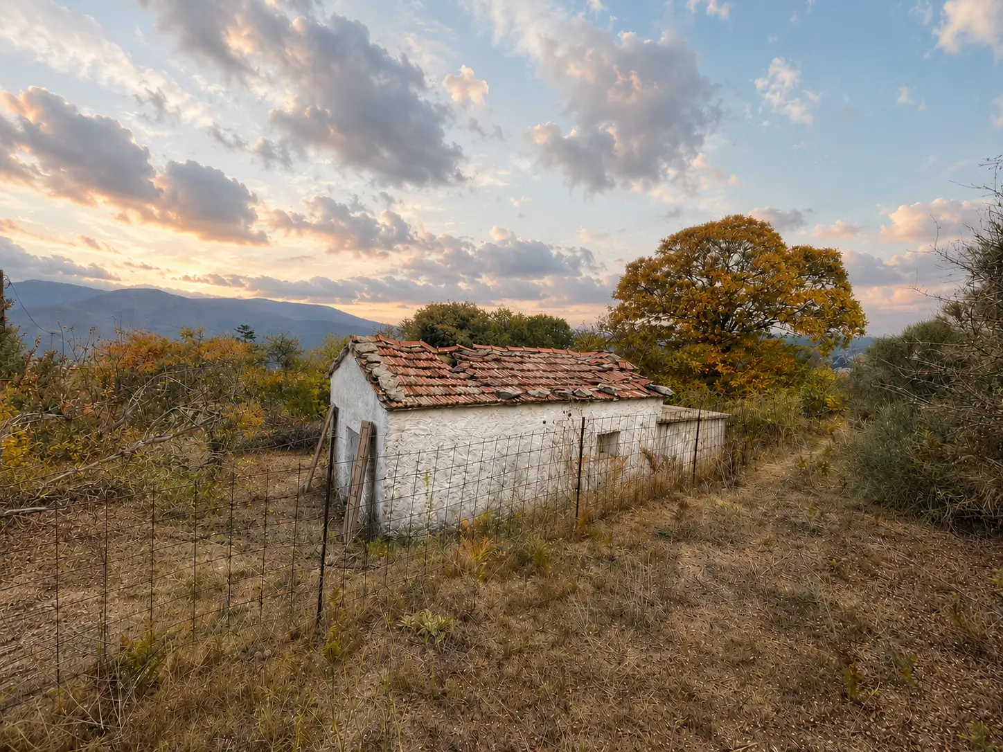 Cabin Eremia before renovation