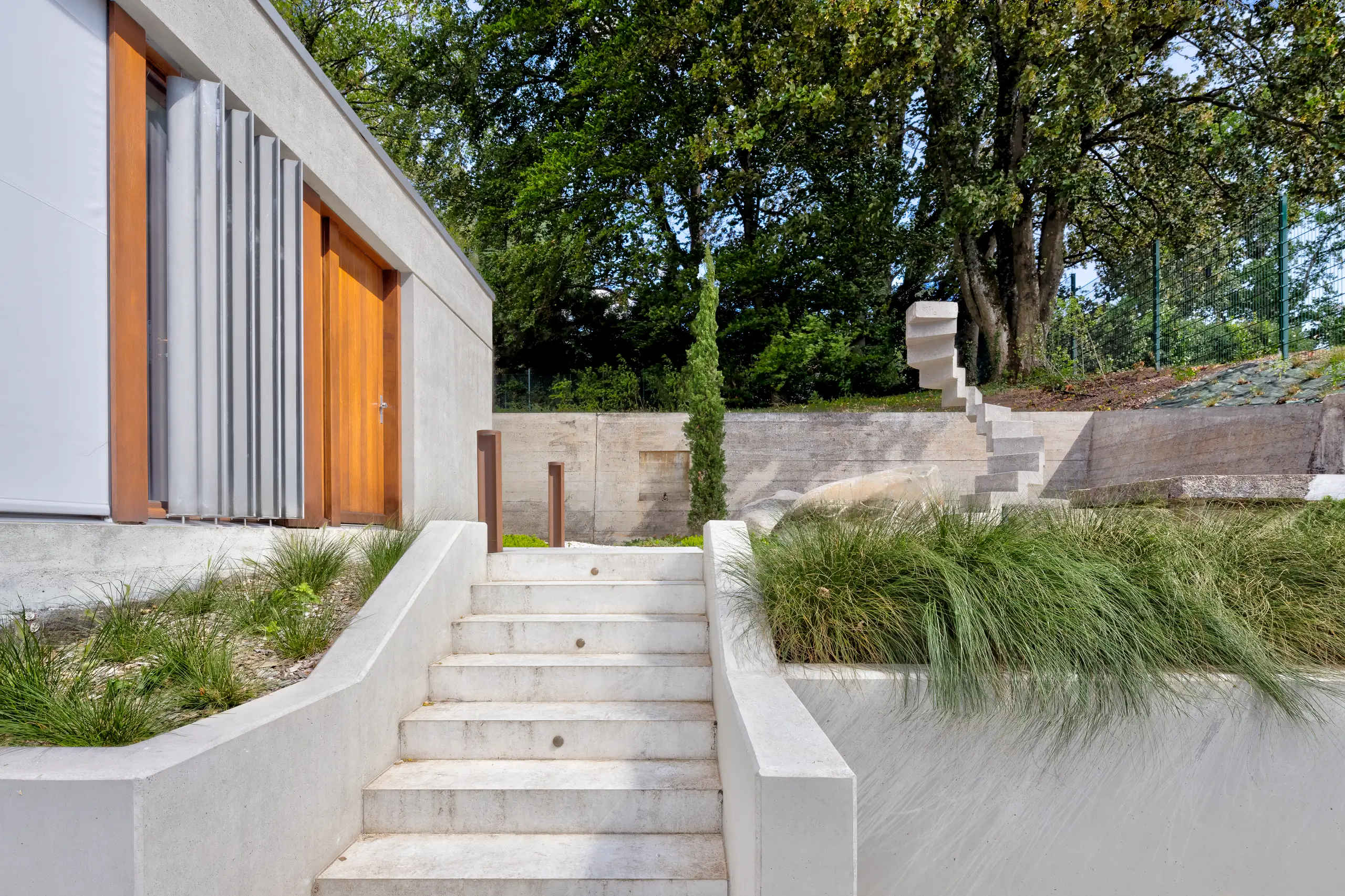Landscaped exterior stair of concrete steps flanked by ornamental grasses below the timber-clad facade